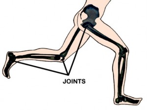 stronglifts 5x5 assistance exercises